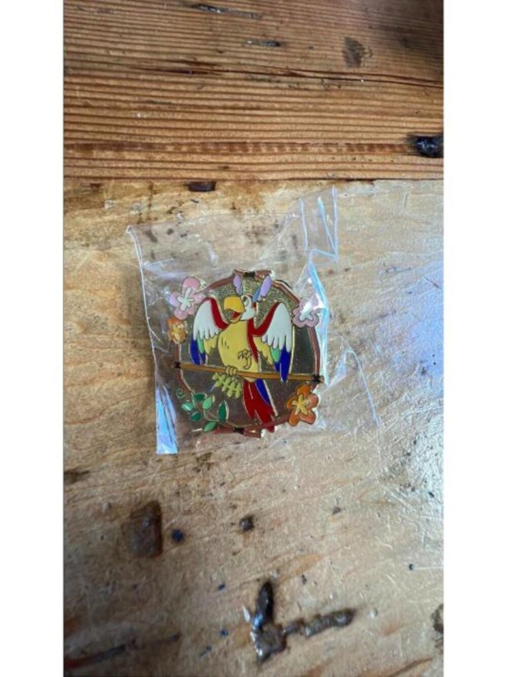 Tokyo Disneyland Enchanted Tiki Room Mystery Pin